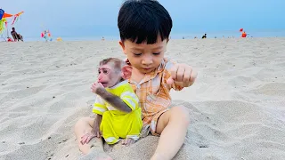 Lovely moment of monkey Diana and baby Roma