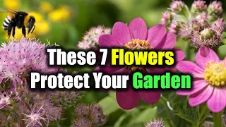 7 Flowers That Bring Pollinators and Repel Pests | These Flowers Protect Your Garden