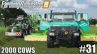 Cutting & Collecting grass with Unimog | 2000 Cows Farm | Timelapse #31 | Farming Simulator 19