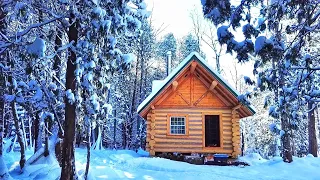 'One Last Build, Son.' - Log Cabin Build by Father & Son.