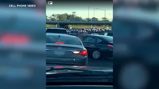 Violent road rage in Illinois rush hour traffic