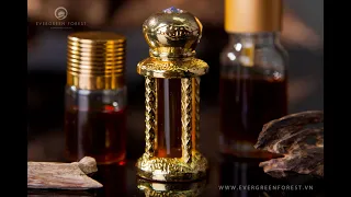 The Special Magic of Agarwood & Oud Oil