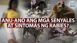 Anu-ano ang mga senyales at sintomas ng rabies? | Need to Know