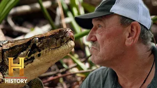 Python DESTROYS Everything in Her Path | Swamp People: Serpent Invasion (Season 4)