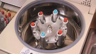 Centrifuging: separating blood