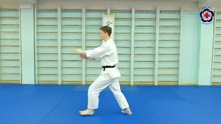 Aikido Basic Movements