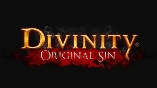 Kickstarter - Divinity Original Sin [04/11/2013]