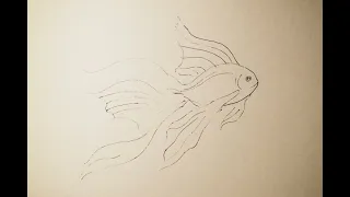 Как нарисовать золотую рыбку/How to draw a goldfish