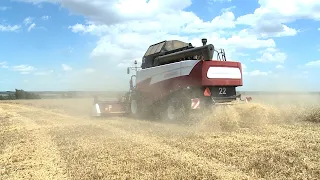В Будённовском округе продолжается уборка пшеницы