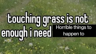 touching grass is not enough