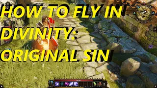 How to fly in Divinity: Original Sin