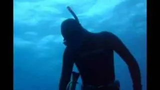 Spearfishing World Record Striped Marlin