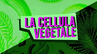 La cellula VEGETALE | Pillole di Scienza