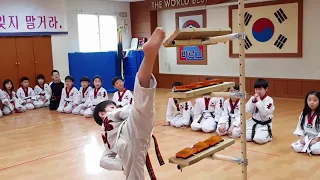 호동태권도 도구활용교육 TATOOL TAEKWONDO