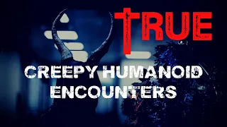 12 TRUE Creepy Humanoid Encounters From Reddit | Stories To Leave You Sleepless