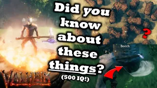 500 IQ Hearth & Home Tips And Tricks You Want To Know Right Now | Advanced Valheim Tips & Tricks