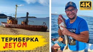 ТЕРИБЕРКА ЛЕТОМ! Морская рыбалка на треску, яйца динозавров, водопады и баня у берега Баренцева моря