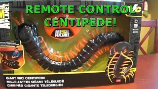 Remote Control Centipede Review