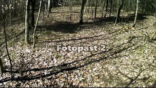 Fotopast 2,  Camera trap 2.,  Piège photographique 2., Fotopułapka 2. Cámara trampa 2.