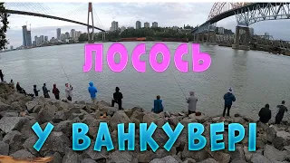 Риболовля на лосося в центрі міста. Канада. Ванкувер