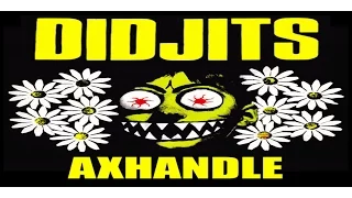 DIDJITS Axhandle 1988 from the Album "Hey Judester"