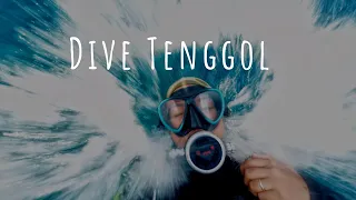 Vlog: Dive Tenggol Island - GHM Raya Dive with Che Wan Scuba | May 2024