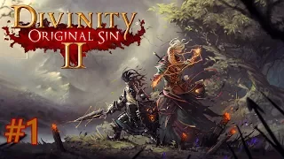 Co-op Divinity: Original Sin 2 | Part 1 | "Collared"