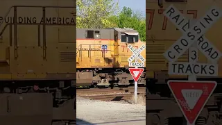 MY LUCKIEST CATCH EVER! #trains #unionpacific