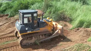 Good Clearing Land With a Dozer SHANTUI SD16 Tree Clearing, Brush Clearing Skills Operator