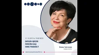 Школа "Essens".   Елена Гапченко 31.10.2019г.