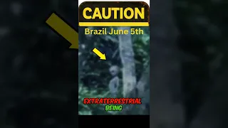 Mysterious Alien Sighting in Brazil's Jungle #shorts #aliens