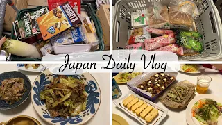 my cozy housewife daily life in japan | grocery shopping trips, make dinners