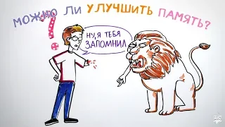 Можно ли улучшить память? — Научпок feat. Артур Шарифов