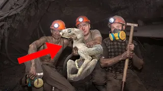 10 Creepiest Discoveries Found In Mines!