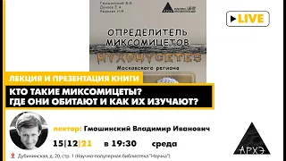 Лекция Владимира Гмошинского "Кто такие миксомицеты? Где они обитают и как их изучают?"