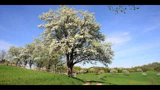 Wetter heute: Die aktuelle Vorhersage (09.05.2024)