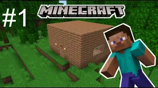 Building a basic house. Minecraft gameplay #1