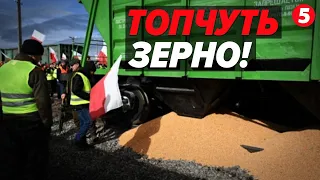 🤬НОГАМИ ПО українському ЗЕРНУ! Що відбувається на кордоні з Польщею?