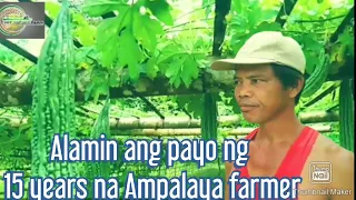 Alamin ang sekreto ng 15 years na sa tagumpay na pagtatanim ng ampalaya