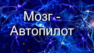 Как МОЗГ МОЖЕТ включить АВТОМАТИЧЕСКИЙ режим работы