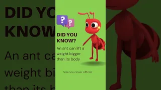 Did You Know An Ant ? #viralshort #shorts