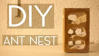 DIY - Tower Nest -  Giant Caves for Your Ants! (feat. Messor Colony)