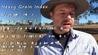 Understanding Angus Indexes