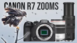 R7 Review 📸 RF 70-200 F4, RF 100-400mm