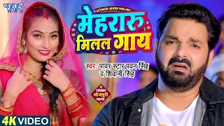 #Video - मेहरारू मिलल गाय | #Pawan Singh | Mehraru Milal Gaay | Shivani Singh | New Bhojpuri Song