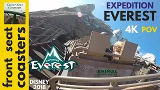 Expedition Everest 4K POV Animal Kingdom 2018 Disney World Roller Coaster Back Seat On-Ride