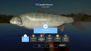 Russian fishing 4 Caspian kutum Super trophy