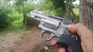 Revolver Dan Wesson 2.5" Co2