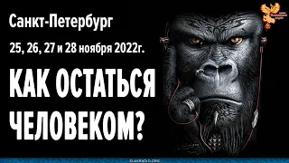 Как остаться человеком в сложное время | Семинар Алексея Орлова в Санкт-Петербурге 25-28 ноября 2022