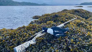 Alaska Sea Duck Hunting at Prince of Wales Eagle Lodge